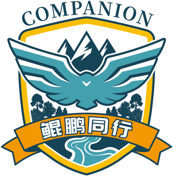 鲲鹏同行队徽